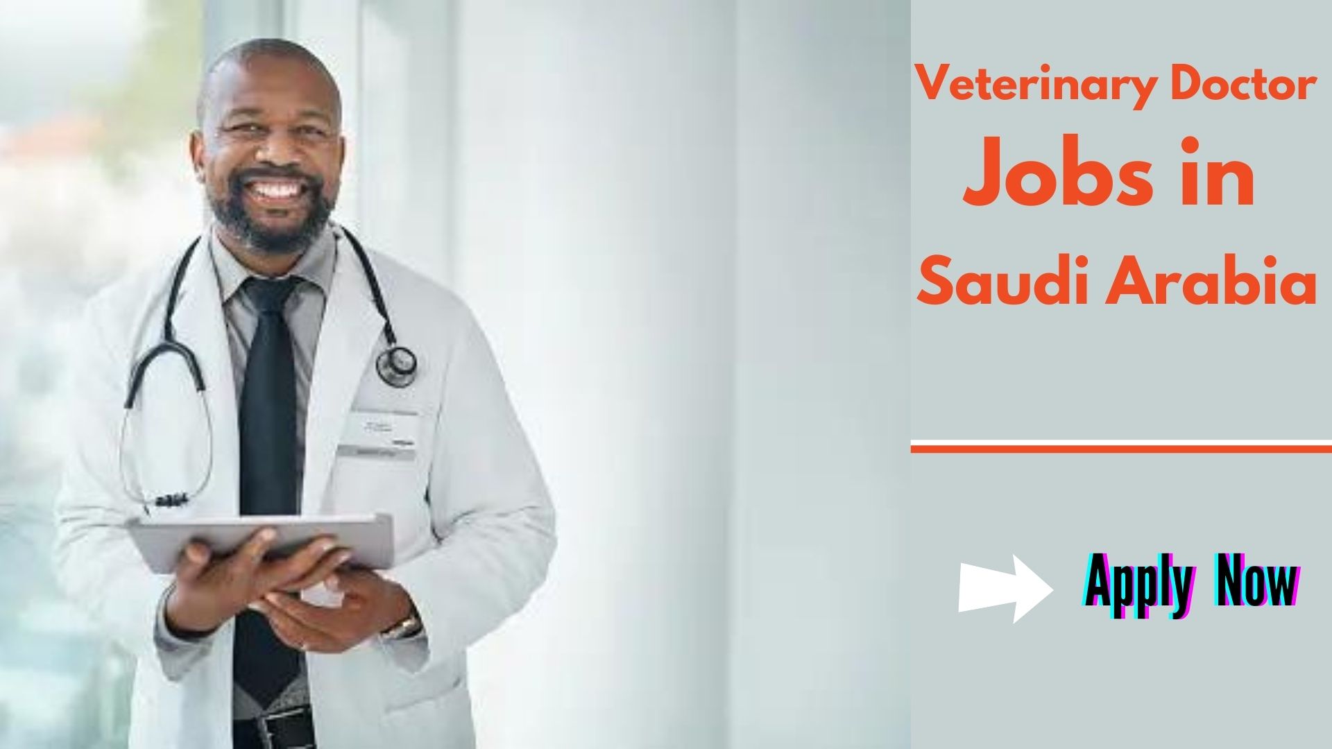 Veterinary Doctor